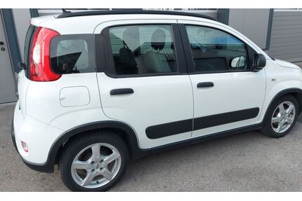 Fiat Panda Gebrauchtwagen