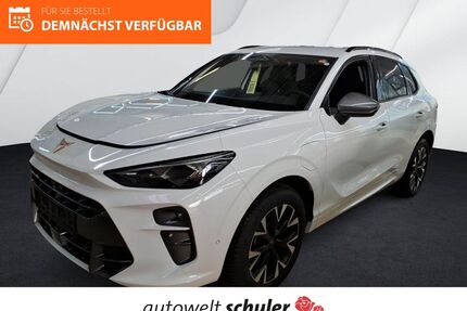 Cupra Terramar Gebrauchtwagen