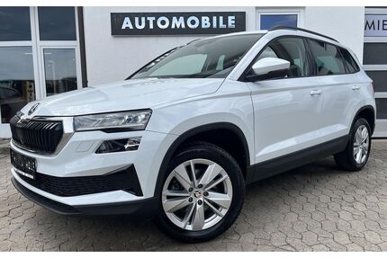 Skoda Karoq Gebrauchtwagen