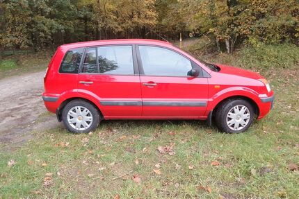 Ford Fusion Gebrauchtwagen