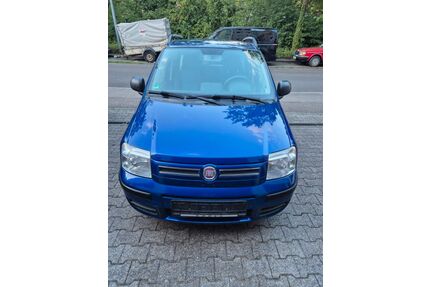 Fiat Panda Gebrauchtwagen