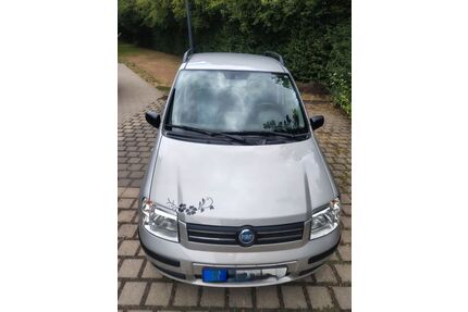 Fiat Panda Gebrauchtwagen
