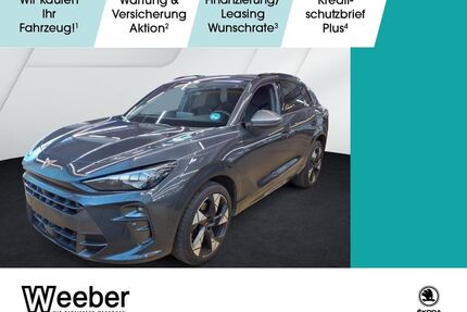 Cupra Terramar Gebrauchtwagen