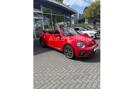 VW Beetle Gebrauchtwagen