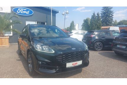 Ford Kuga Gebrauchtwagen