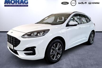 Ford Kuga Gebrauchtwagen