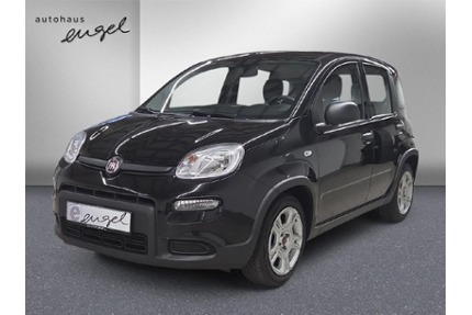 Fiat Panda Gebrauchtwagen