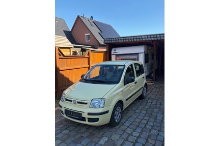 Fiat Panda Gebrauchtwagen
