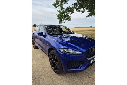 Jaguar F-Pace Gebrauchtwagen
