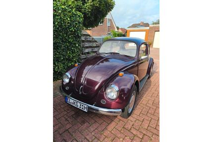 VW Käfer Gebrauchtwagen
