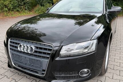 Audi A5 Gebrauchtwagen