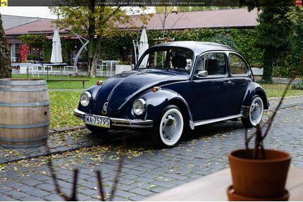 VW Beetle Gebrauchtwagen