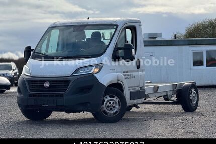 Fiat Ducato Gebrauchtwagen