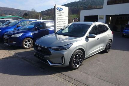Ford Kuga Gebrauchtwagen