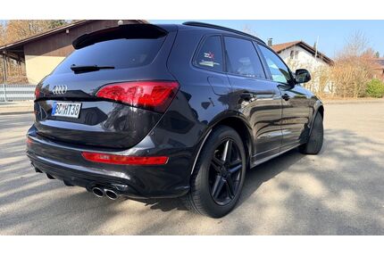 Audi SQ5 Gebrauchtwagen