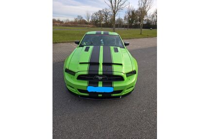 Ford Mustang Gebrauchtwagen