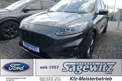 Ford Kuga Gebrauchtwagen