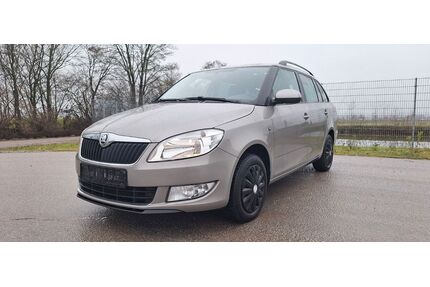 Skoda Fabia Gebrauchtwagen
