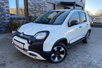 Fiat Panda Gebrauchtwagen