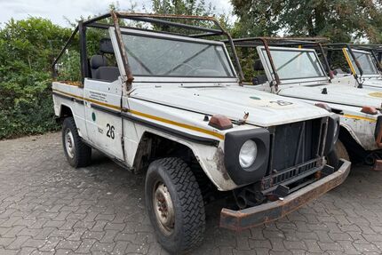 Mercedes-Benz G 290 Gebrauchtwagen