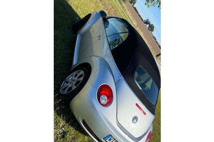VW Beetle Gebrauchtwagen