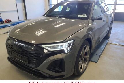 Audi Q8 e-tron Gebrauchtwagen
