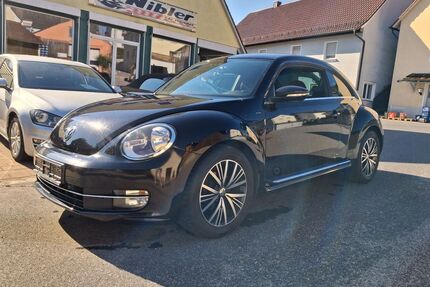 VW Beetle Gebrauchtwagen