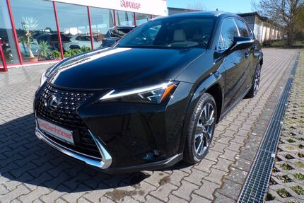 Lexus UX Gebrauchtwagen