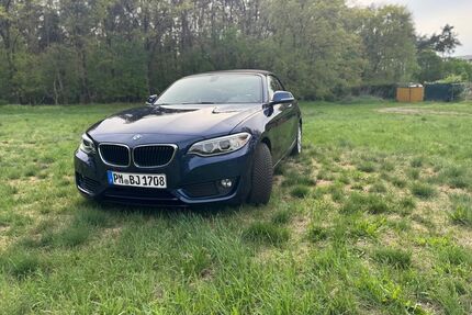BMW 218 Gebrauchtwagen