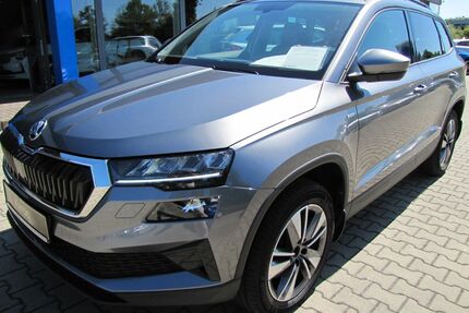 Skoda Karoq Gebrauchtwagen