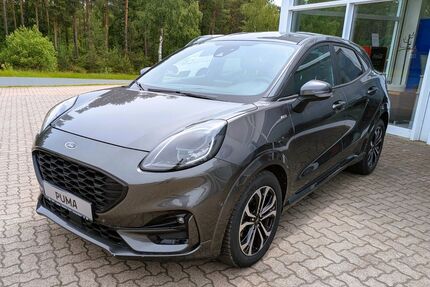 Ford Puma Gebrauchtwagen