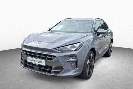 Cupra Terramar Gebrauchtwagen
