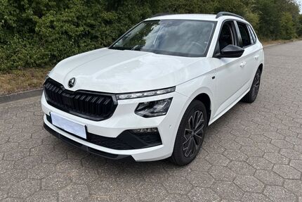 Skoda Kamiq Gebrauchtwagen