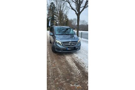 Mercedes-Benz V 250 Gebrauchtwagen