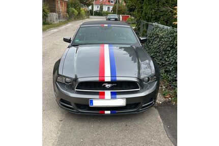 Ford Mustang Gebrauchtwagen