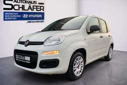 Fiat Panda Gebrauchtwagen
