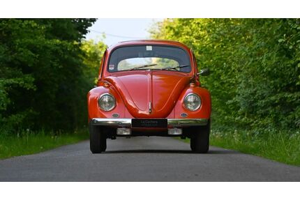 VW Käfer Gebrauchtwagen