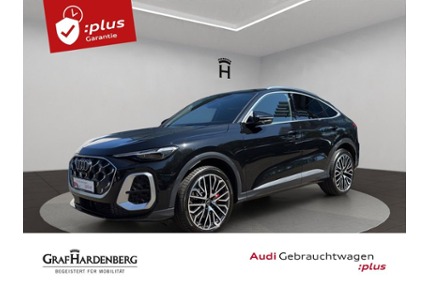 Audi SQ5 Gebrauchtwagen