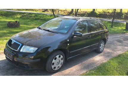 Skoda Fabia Gebrauchtwagen