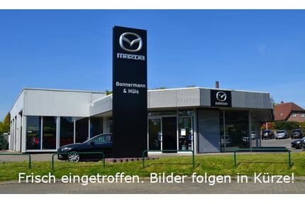 Mazda 2 Hybrid Gebrauchtwagen