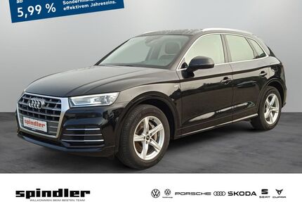 Audi Q5 Gebrauchtwagen