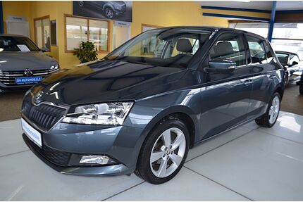 Skoda Fabia Gebrauchtwagen