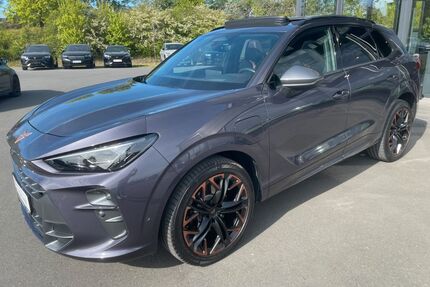 Cupra Terramar Gebrauchtwagen