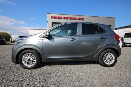 Kia Picanto Gebrauchtwagen