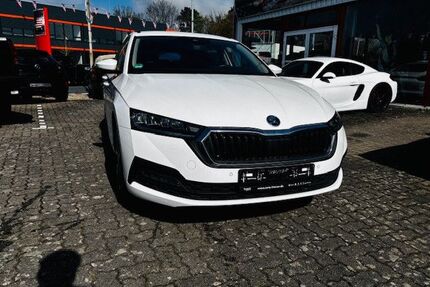 Skoda Octavia Gebrauchtwagen