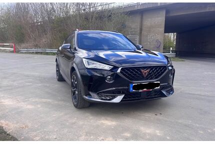 Cupra Formentor Gebrauchtwagen