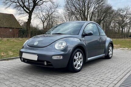 VW New Beetle Gebrauchtwagen