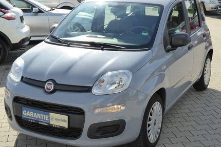 Fiat Panda Gebrauchtwagen