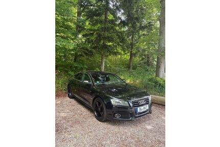 Audi A5 Gebrauchtwagen