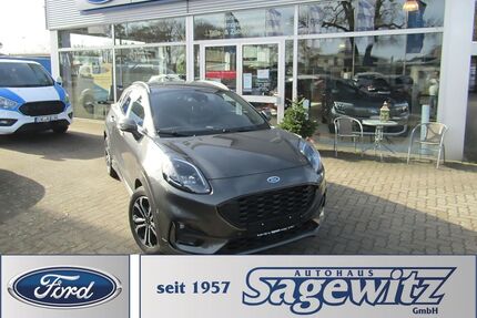 Ford Puma Gebrauchtwagen